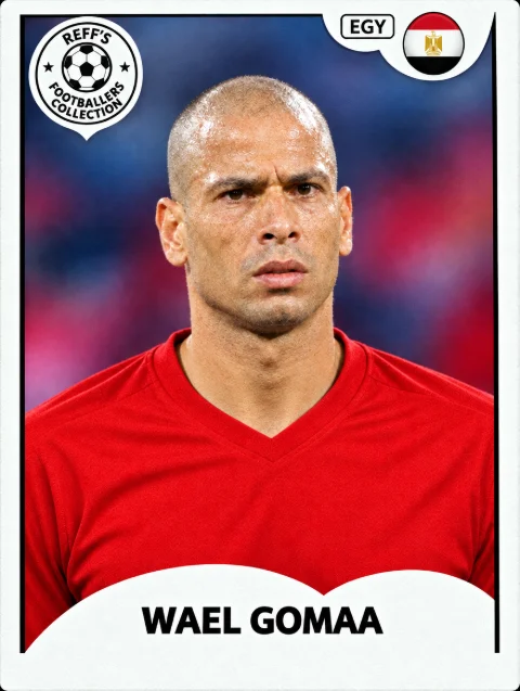 Wael Gomaa sticker